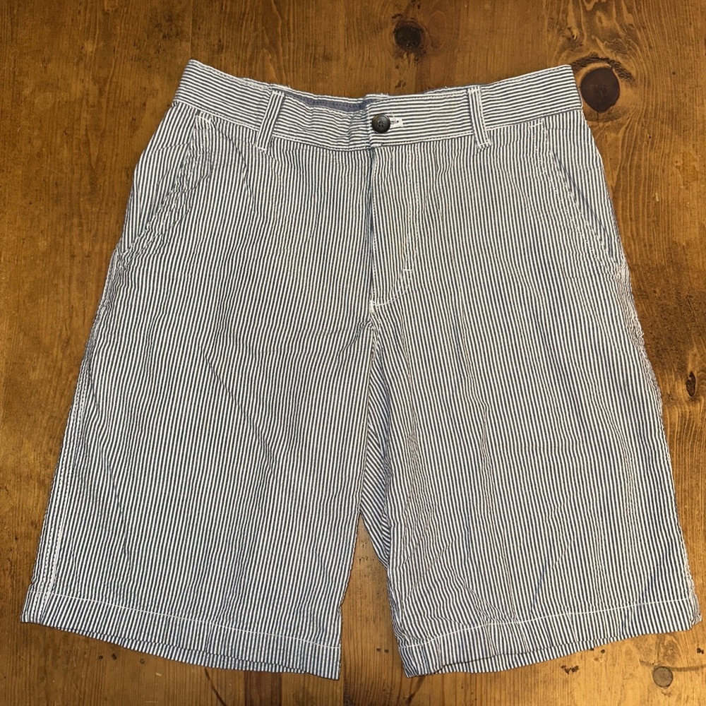 IZOD Mens Blue Pinstripe Flat Front Seersucker Shorts W 30 Inseam 11"